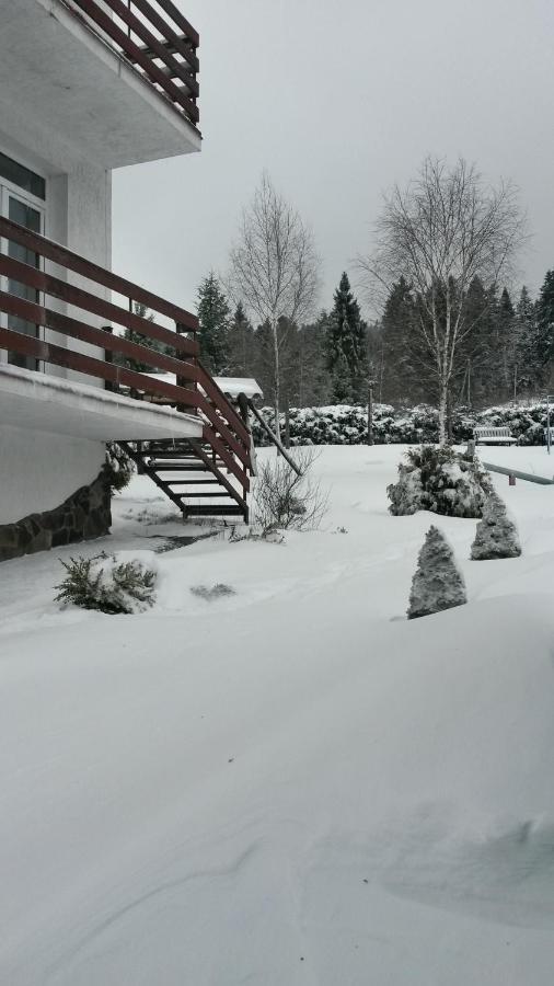 Skhidnytsia Guest House U Sester מראה חיצוני תמונה